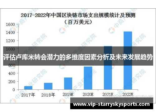 评估卢库米转会潜力的多维度因素分析及未来发展趋势