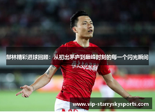 郜林精彩进球回顾：从初出茅庐到巅峰时刻的每一个闪光瞬间