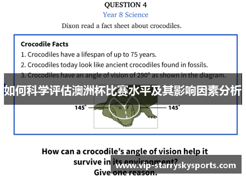 如何科学评估澳洲杯比赛水平及其影响因素分析