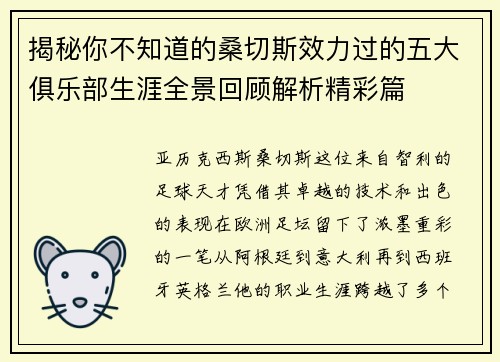 揭秘你不知道的桑切斯效力过的五大俱乐部生涯全景回顾解析精彩篇