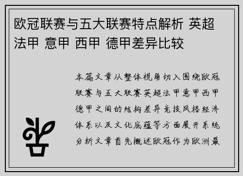欧冠联赛与五大联赛特点解析 英超 法甲 意甲 西甲 德甲差异比较
